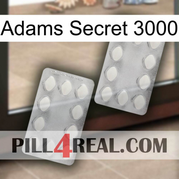 Adams Secret 3000 17